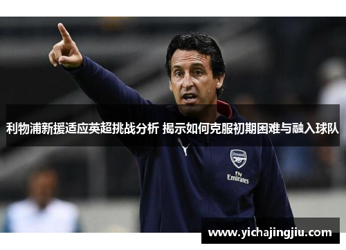 利物浦新援适应英超挑战分析 揭示如何克服初期困难与融入球队