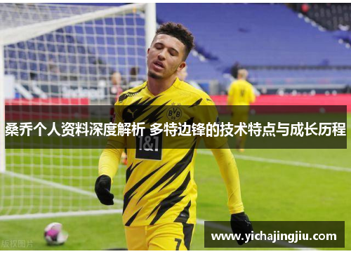 桑乔个人资料深度解析 多特边锋的技术特点与成长历程